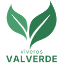 Viveros Valverde