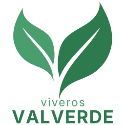 Viveros Valverde